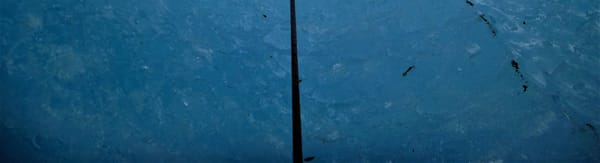 Persistent gravity anomaly detected beneath Antarctic ice sheet